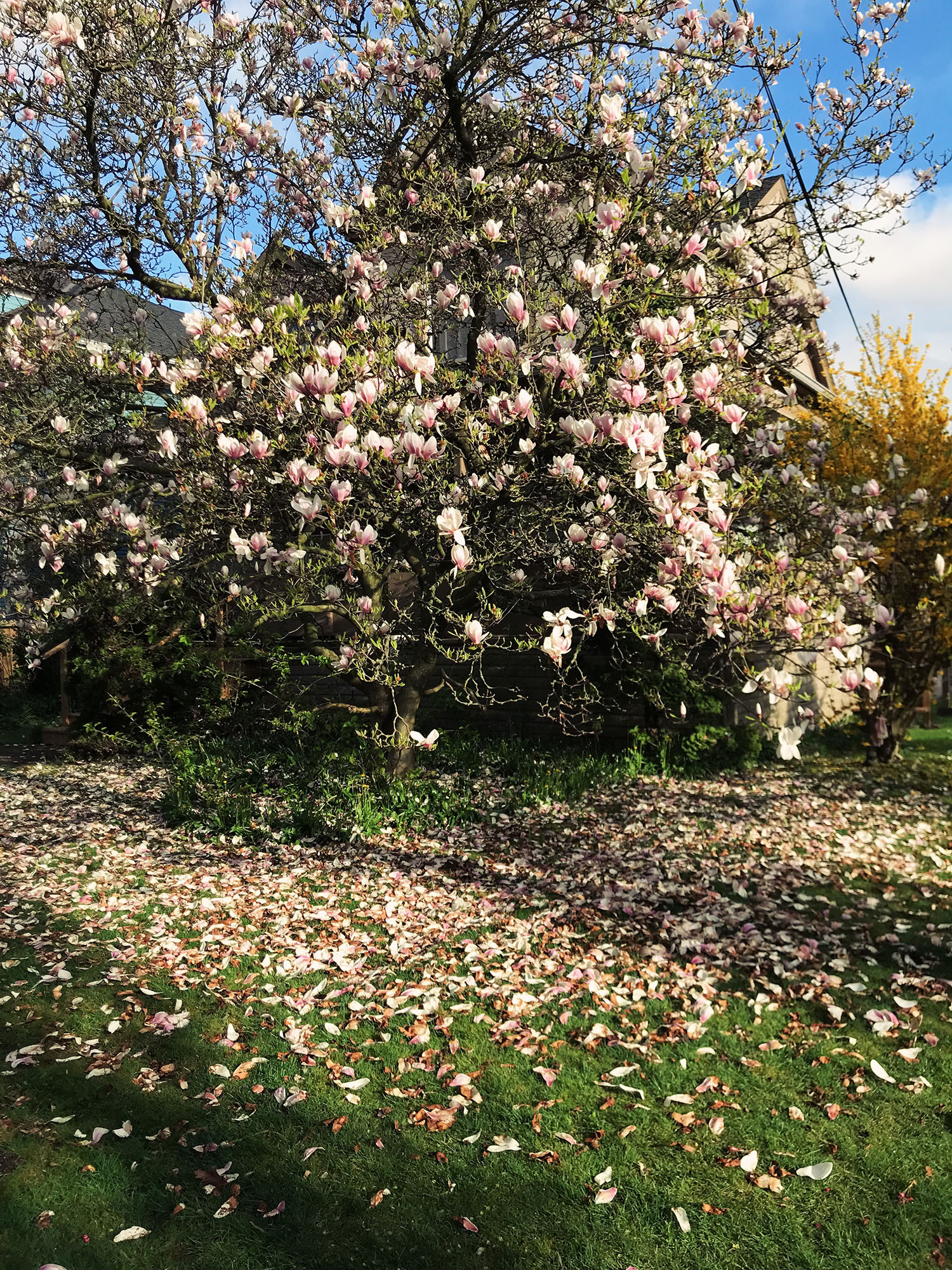 Processed with VSCO with nc preset