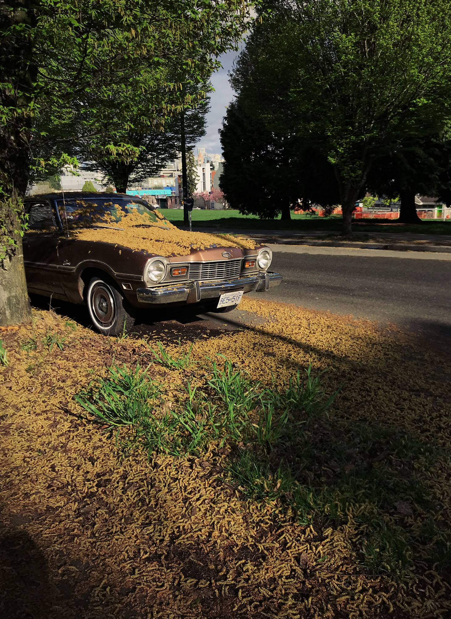 Processed with VSCO with nc preset