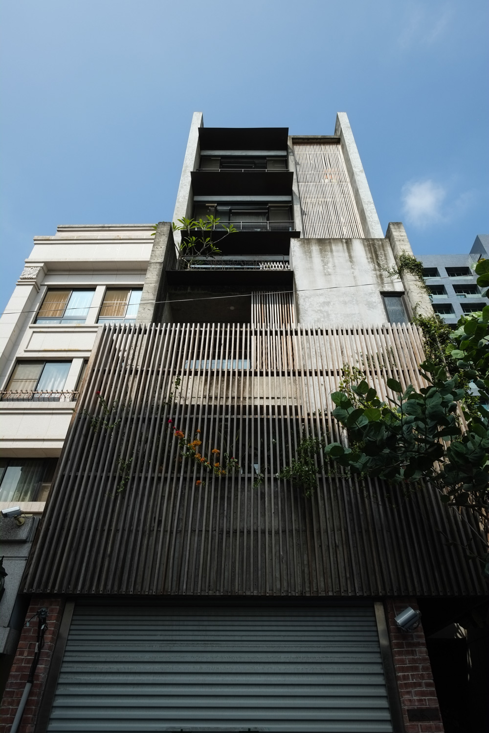 davidniddrie_taiwan-6163