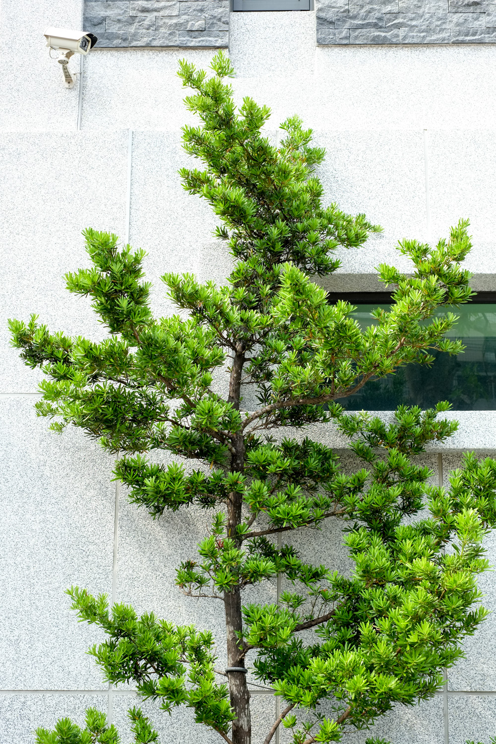 davidniddrie_taiwan-6958