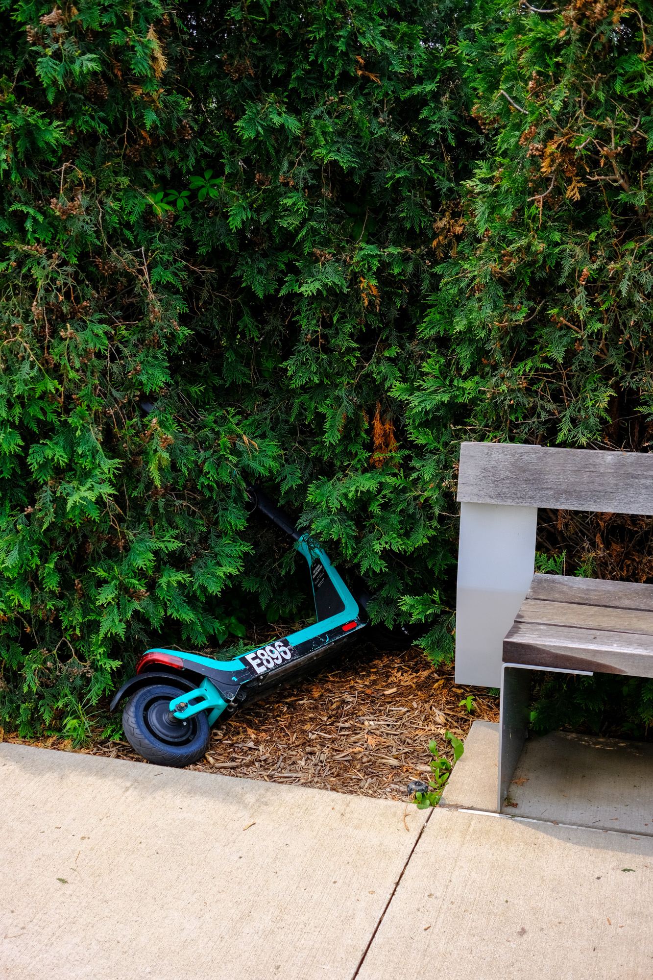 An abandoned scooter sits in a hedge next to a park bench.
