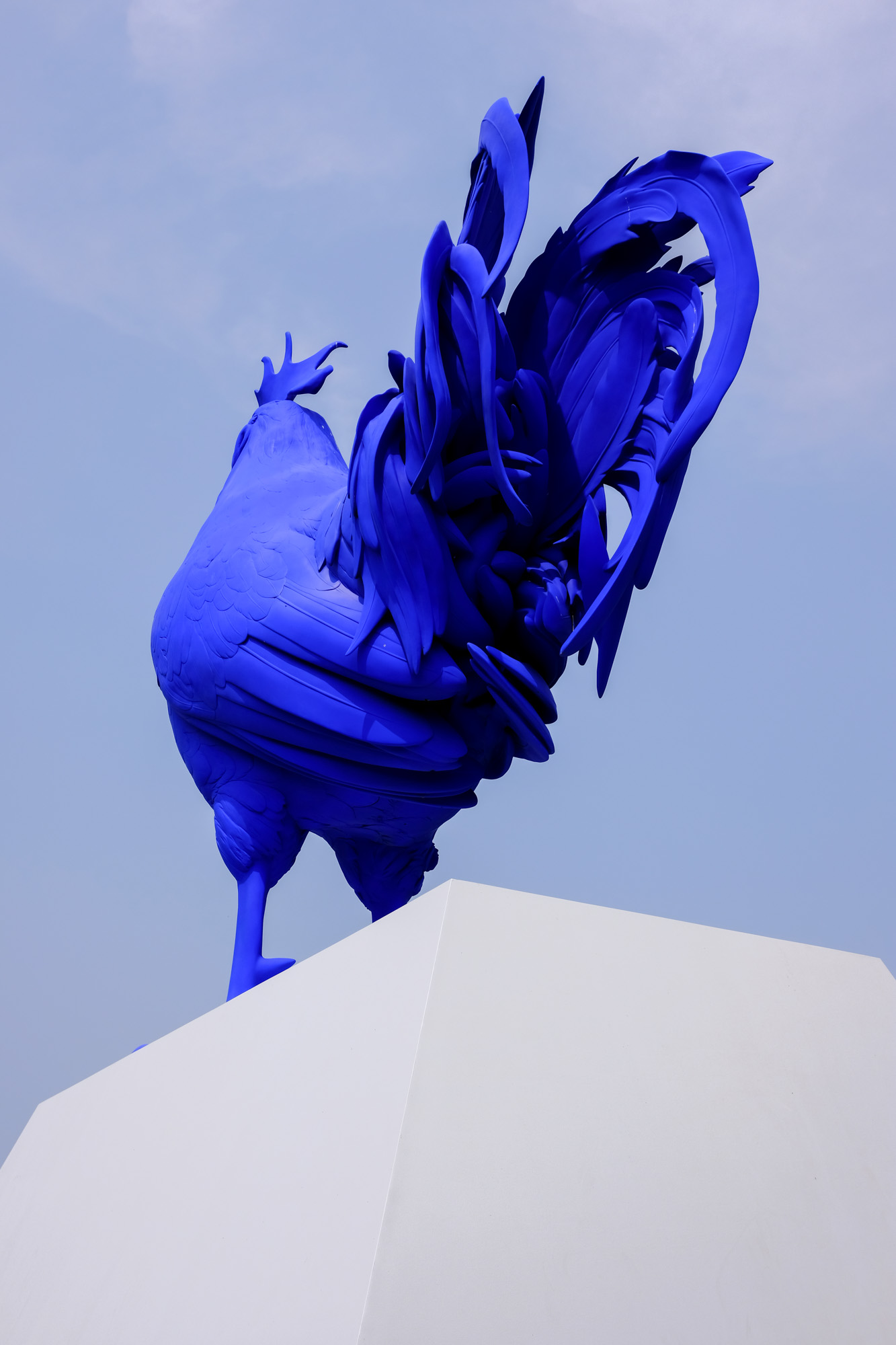 A giant blue rooster sculpture is seen from behind with it's large tail feathers with an empty sky behind.